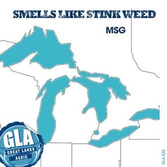 Smokingroove — Smells Like Stink Weed cover